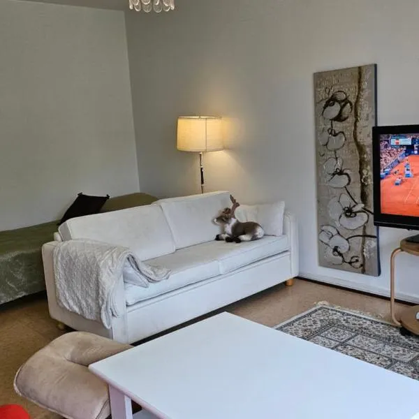 Himoksen naapuri, A3, hotel in Jämsä