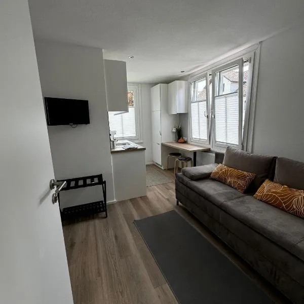 Rheinblick Ferienwohnung, hotel di Höchst