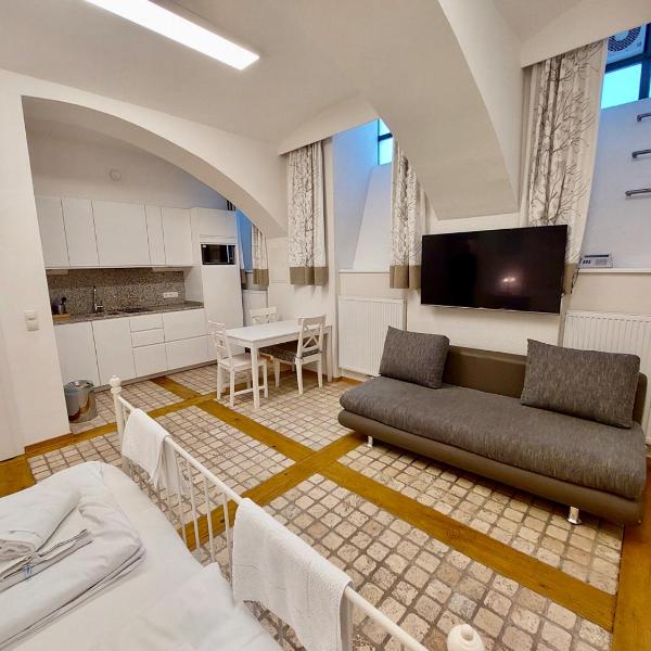 Modern Studios near City Center, Vienne