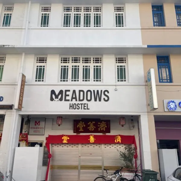 梅多斯胶囊旅馆，位于新加坡的酒店