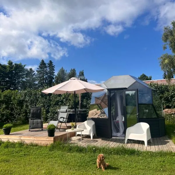 Peetri talu klaaskuplid Haapsalu lähedal, Hotel in Rootsi