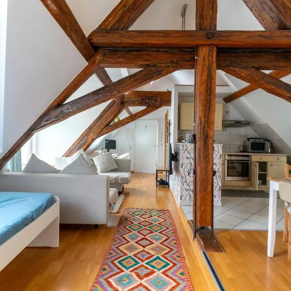 Dachwohnung am Schlosspark, hotel a Wiesbaden