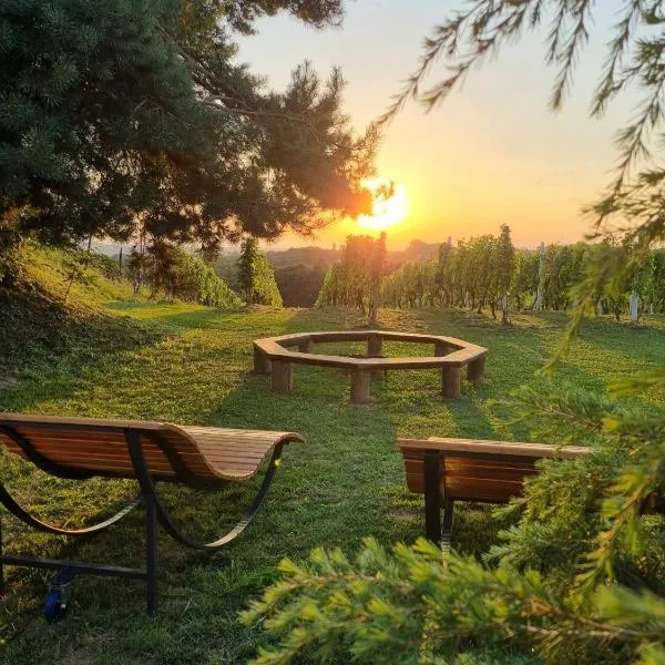 POČITNIŠKA HIŠA SONČNI VRH, hôtel à Spodnji Ivanjci