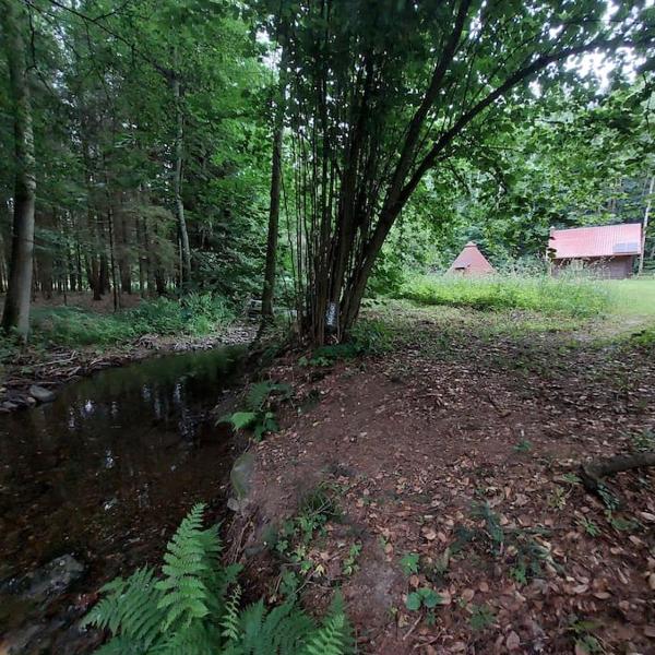 Off-Grid Cottage near river and forest!, Liberk