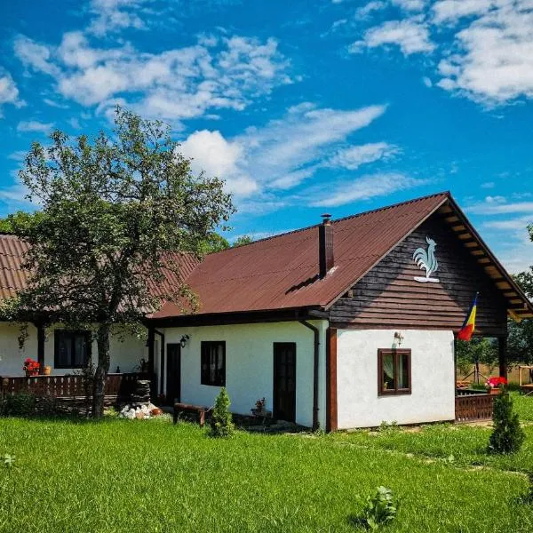 Pensiunea Cocoș, hotell sihtkohas Spulber