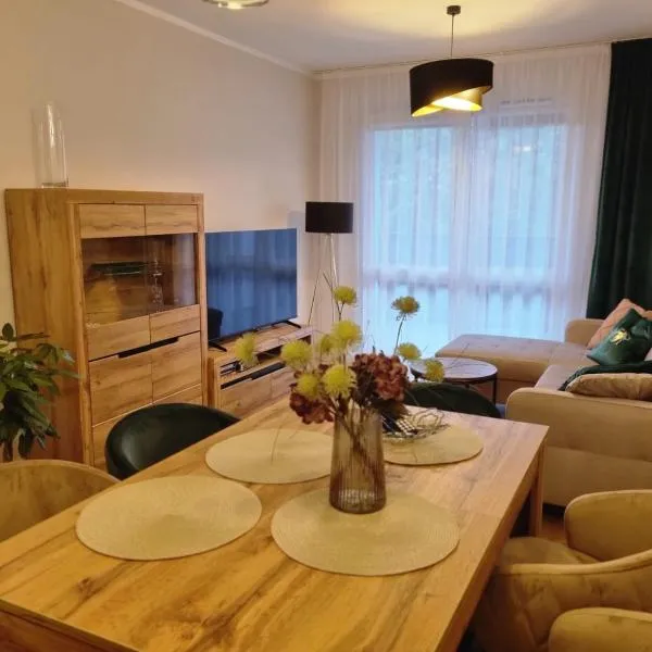 Apartament 55 z miejscem w garażu, hotell Toruńis