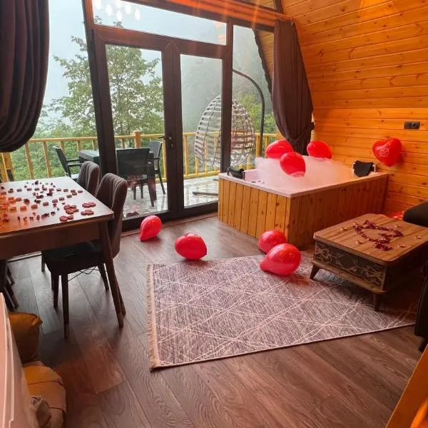 AĞARAN Wooden Houses 2, hotel v destinaci Cayeli