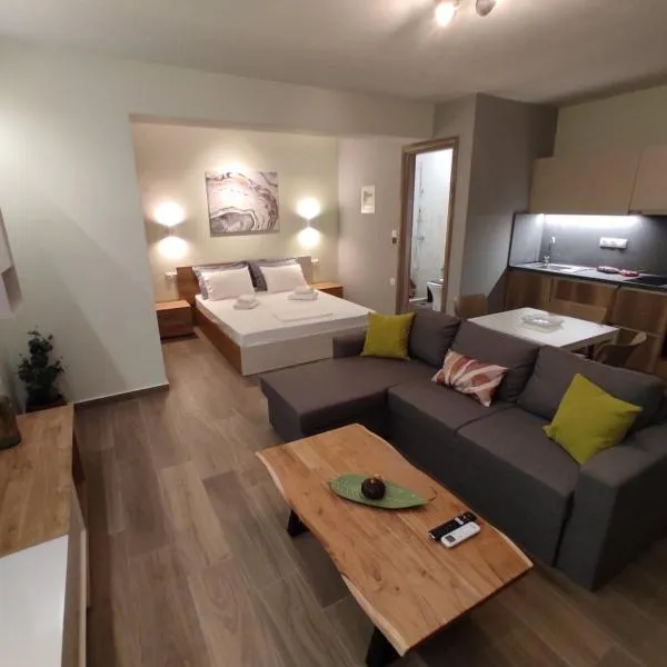 Aliki's Studio 1, hotel in Kalabaka