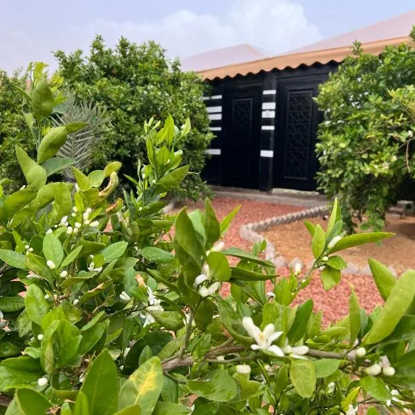 مزرعةبرتقالOrange farm、アル・ウラーのホテル