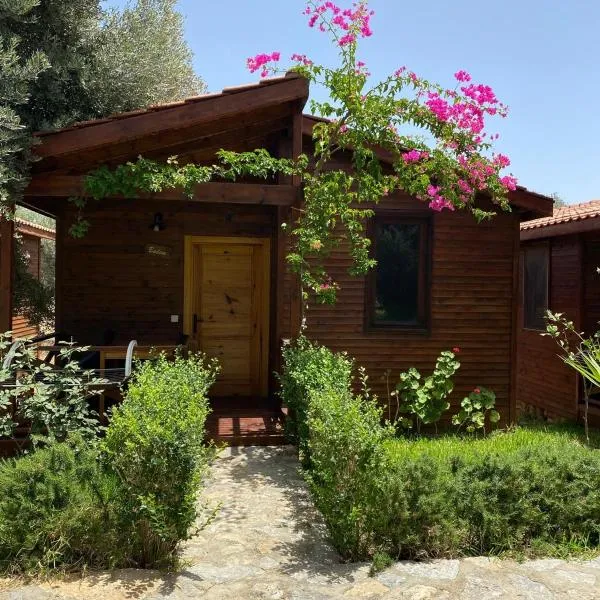 Suzi'nin Bahçesi Bungalov Evler、ダッチャのホテル