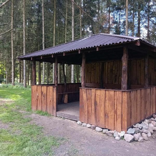 Vaškučių edukacijos centras, Betygala