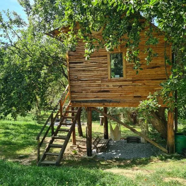 Apple Tree Cabin (Friendship Land), hôtel à Şelari
