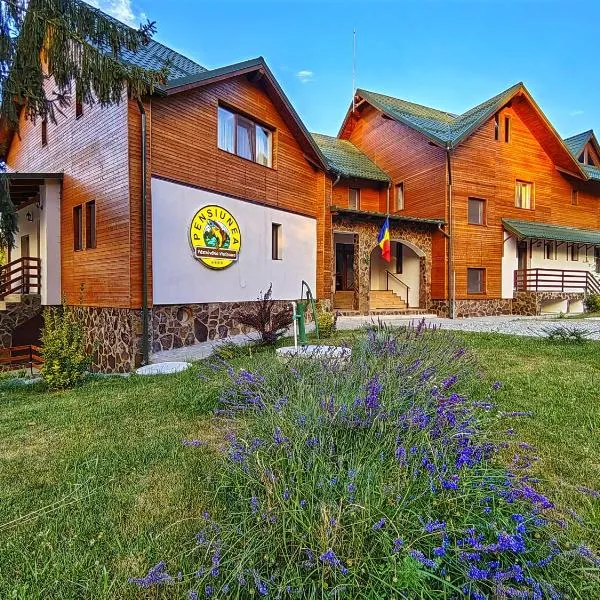 Pensiunea Pastravaria Vistisoara, hotel in Vistisoara