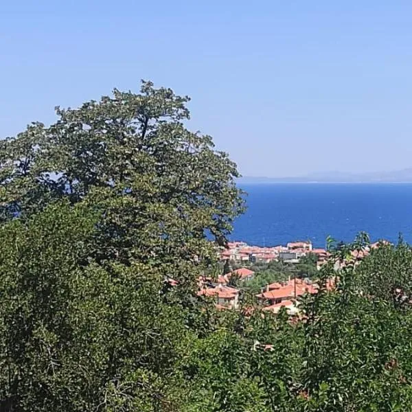Studios Akrotiri, hôtel à Mytilène