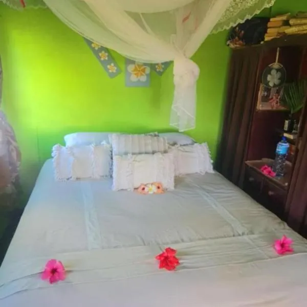 Jima's Home Retreat, hotel v destinaci Naselesele