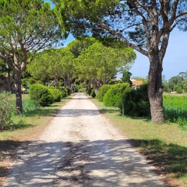 Mas du Grand Peloux, hotell sihtkohas Port-Saint-Louis-du-Rhône