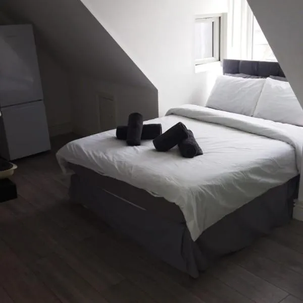 Studio style room, near Tooting Broadway station, hotel in London