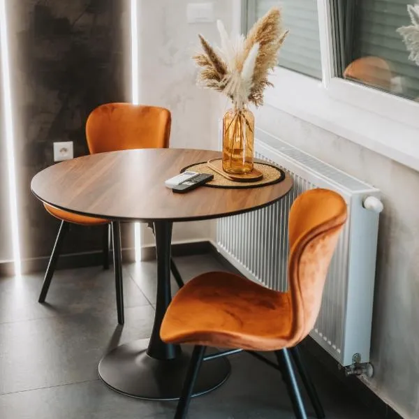 Stari Toranj V studio apartman, Hotel in Vukovar