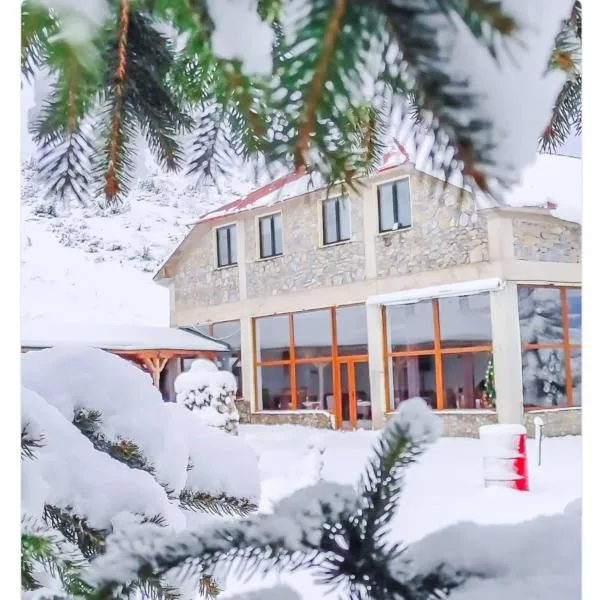 Victorian Heights, hotel in Tetovo