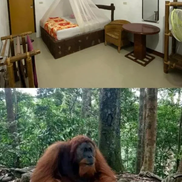 Brown Bamboo Guest house & jungle trekking orang-utan，位于武吉拉旺的酒店