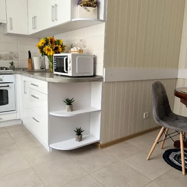 Центр міста Апартаменты, hotel in Kamianets-Podilskyi