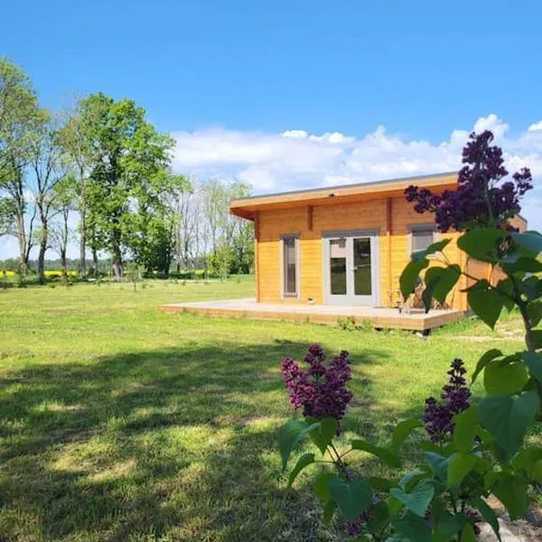 Cottage in Nature, free sauna, free breakfast, hotel en Lielkangari