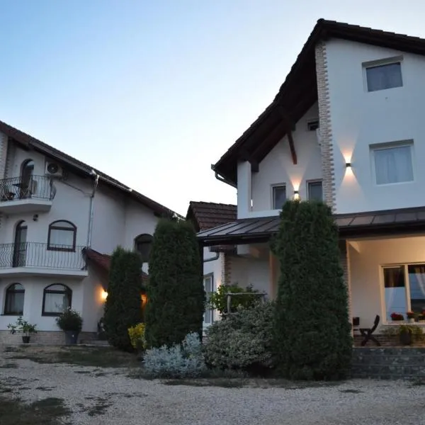 Pensiunea Faur, hotel in Sebeş