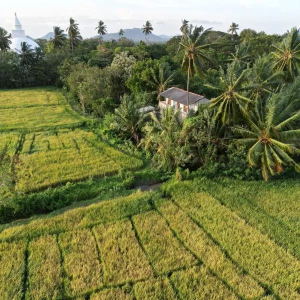 Viveka Inn Guest and Yala Safari, hotel v destinaci Tissamaharama