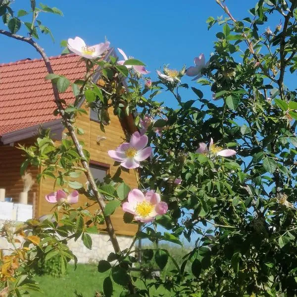 Tarin zov, hotel in Kaludjerske Bare