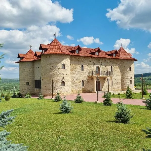 Castel Unghern – hotel w mieście Ivancea