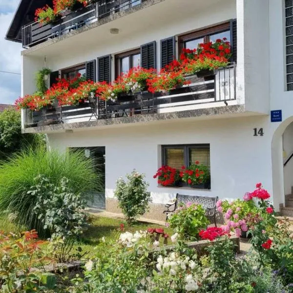 Apartman Bosco, hotel v destinaci Ravna Gora