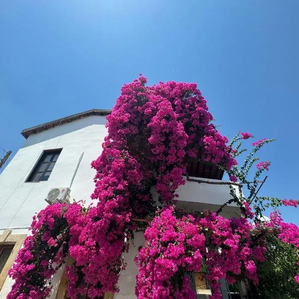 Burcu Guest Home, hotel sa Çağlayan