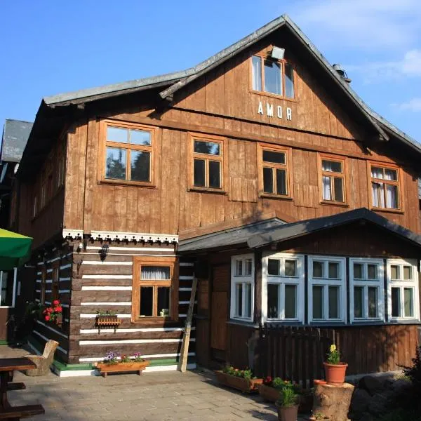 阿莫尔山区小屋酒店，位于派克波特斯耐兹库的酒店