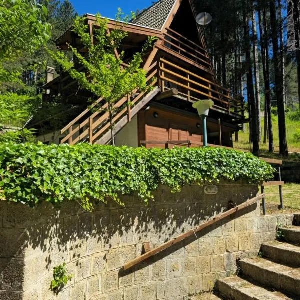 Chalet Natura la tana del ghiro, Hotel in Cavaliere