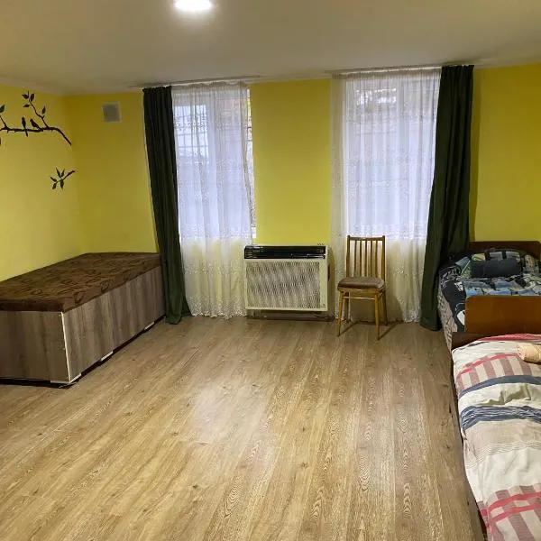 hostel Ajime, hotel in Telavi