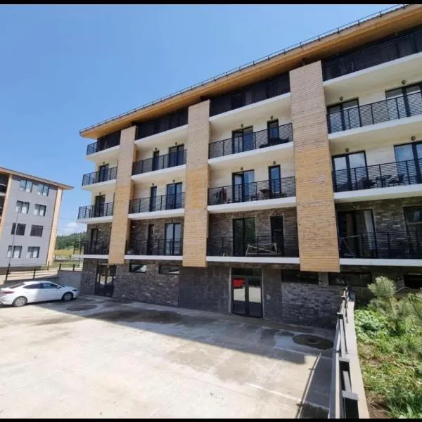 Didveli, apartment Kesane, hotel in Bakuriani