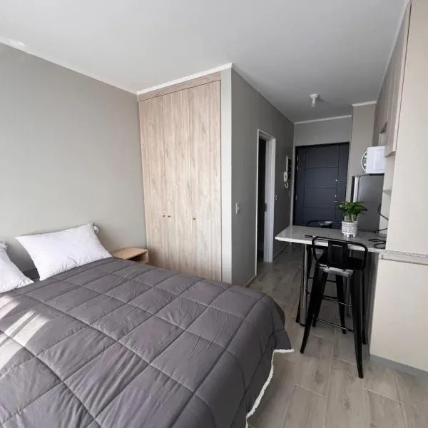 Departamento Estudio, Pitrufquén, hotel in Pitrufquén