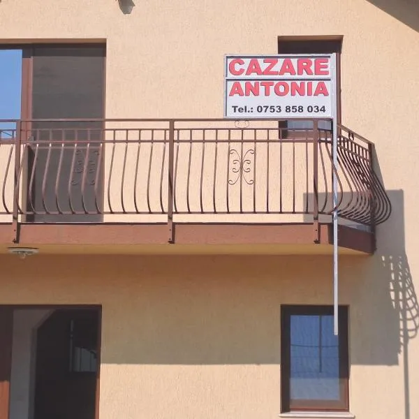 Cazare Antonia, hotel v destinaci Curtea de Argeş