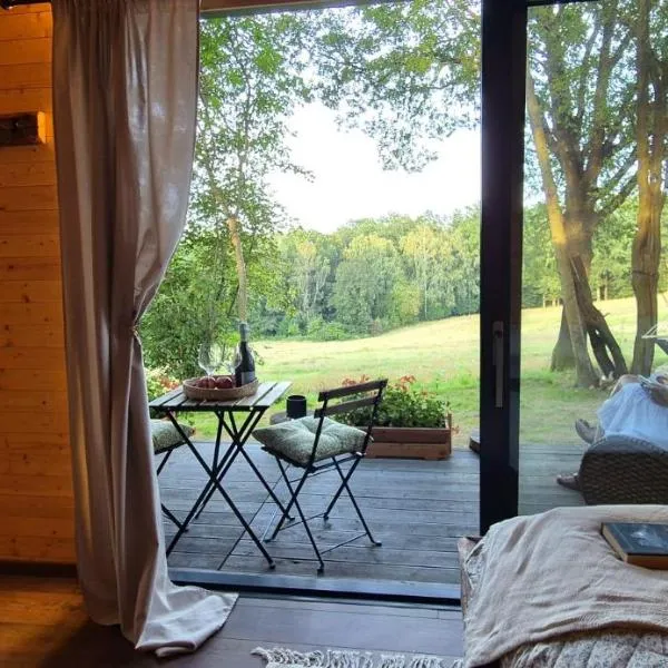 Tiny house - Schoulenka pod mirabelkami, hotel in Chlumec