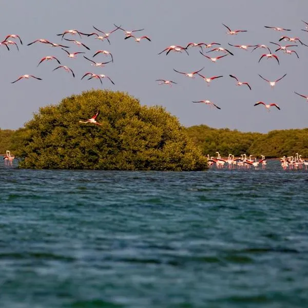 Flamingo Beach Hotel, hotel in Umm Al Quwain