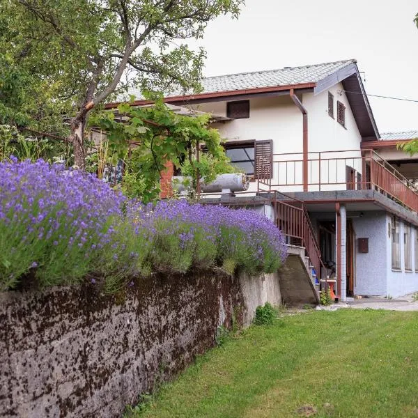 Podgozd Holiday House, hotel en Trnovo