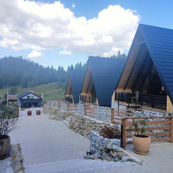 Cabana la Piatră，位于波若勒塔的酒店
