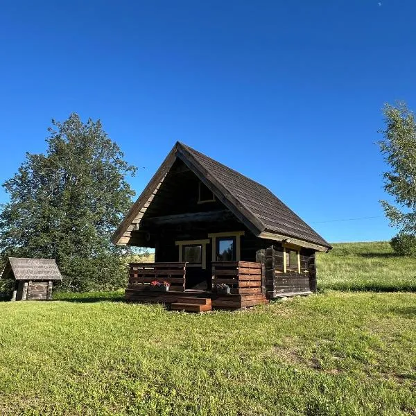 Lakeside cabin with saunas, hot-tub options, khách sạn ở Antsla