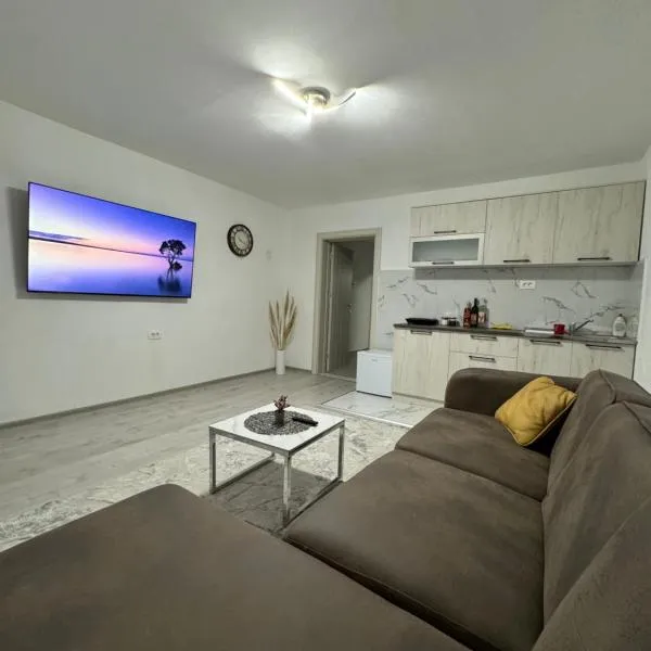 Apartment Airport DD, hotel u gradu Mitrovići