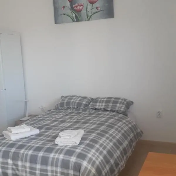 Komforna Soba U Centru #3, hotel in Mladenovac