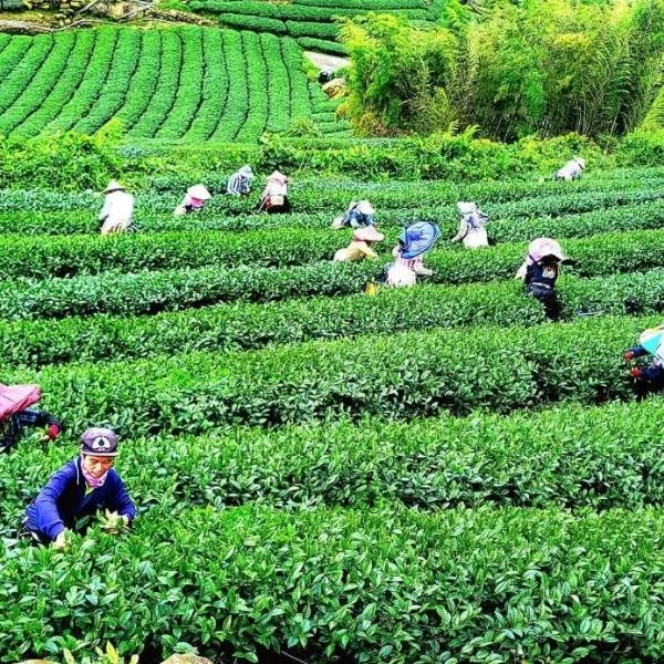Tianyi Homestay, hotel in Fenchihu
