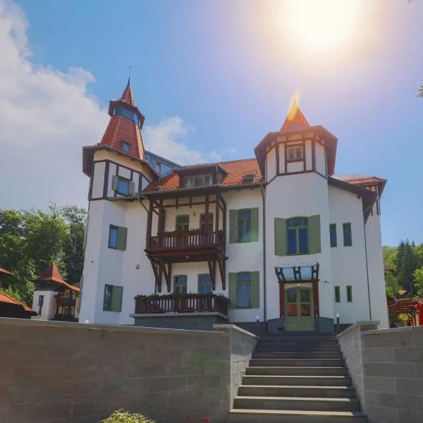Turul Villa, ξενοδοχείο σε Sovata