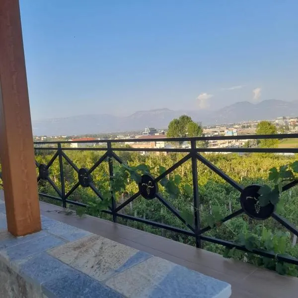 Vila Shehi Guesthouse and Winery, ξενοδοχείο στα Τίρανα