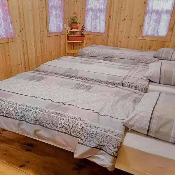La Nea Ion, hotel u gradu 'Ţaul'