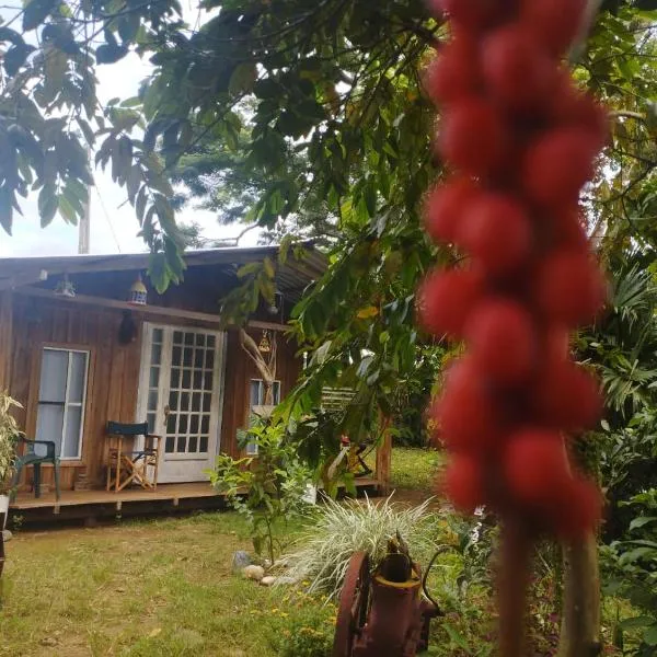 Hostal La Cabaña, hotel v destinaci Mesetas